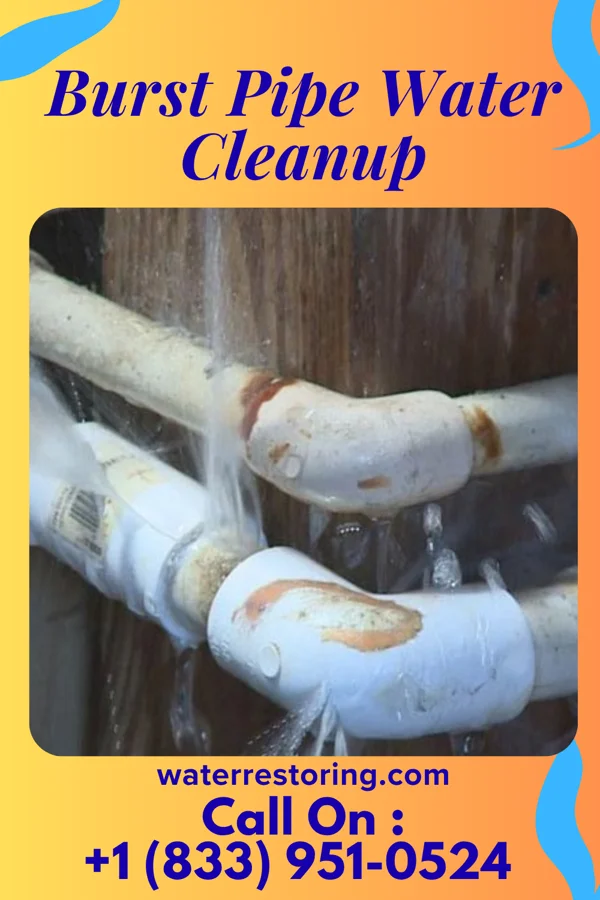 Burst Pipe Water Cleanup in Rockland, ME