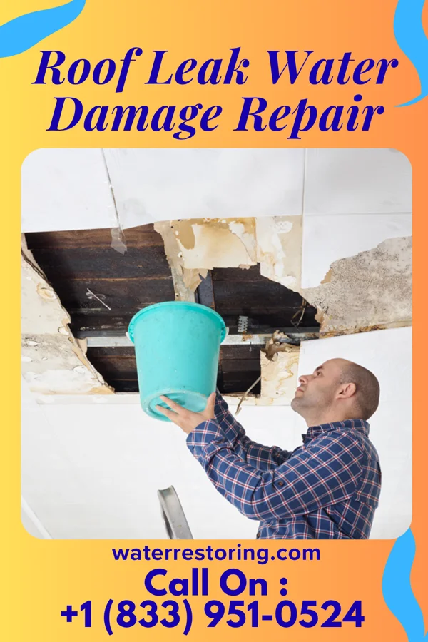 Roof Leak Water Damage Repair in Rockland, ME